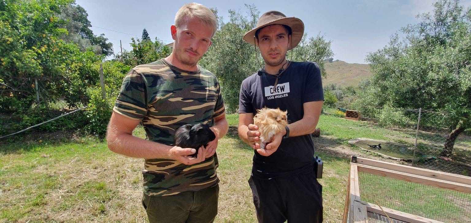 Volontari con piccoli animali durante un'attività all'aperto
